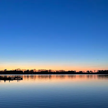 Kranich Am Paelitzsee