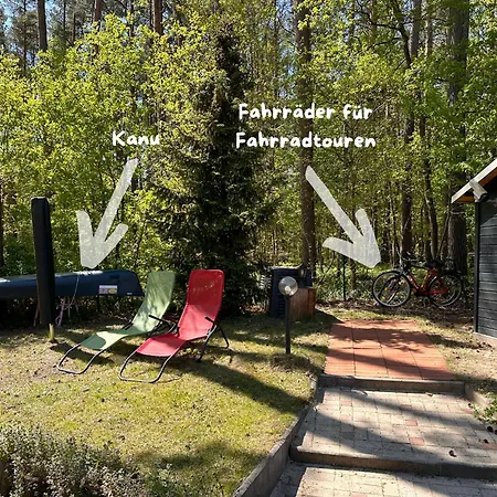 Kranich Am Paelitzsee