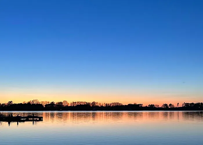 Kranich Am Paelitzsee