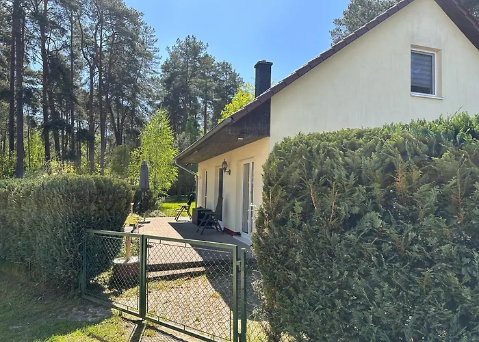 Kranich Am Paelitzsee * Rheinsberg