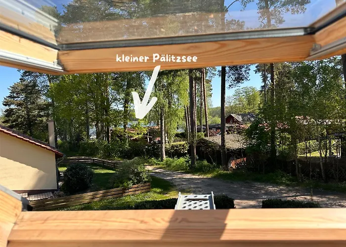 Kranich Am Paelitzsee