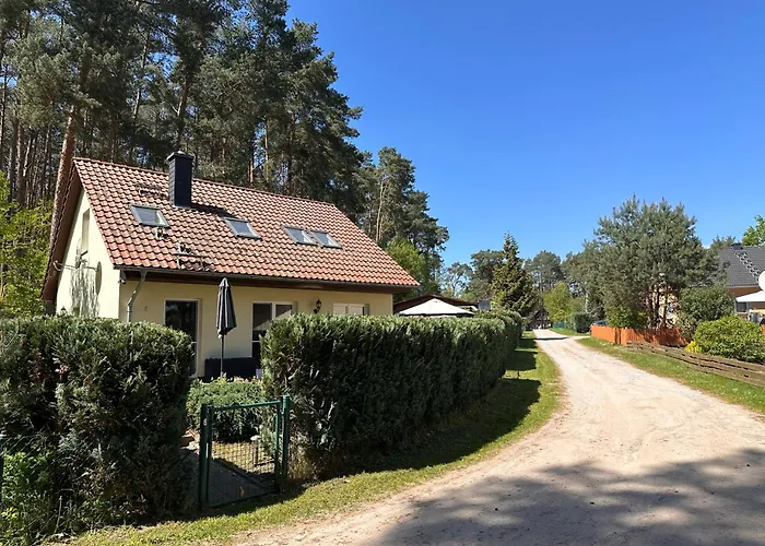 Kranich Am Paelitzsee *